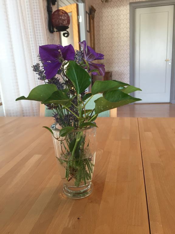 Hagaborg Bed & Breakfast เชอพิงส์วิค ภายนอก รูปภาพ